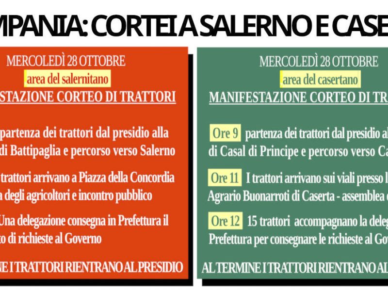 Nuove Cronache
