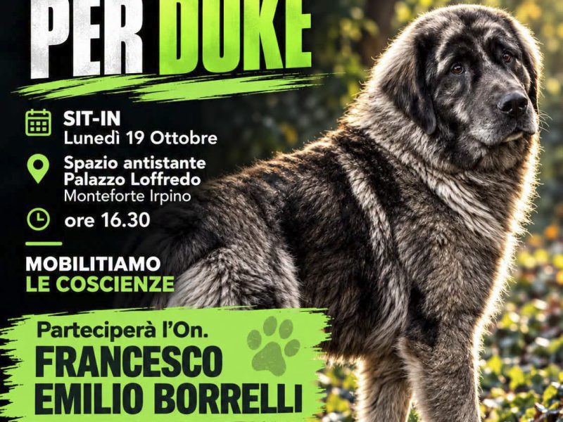 Nuove Cronache