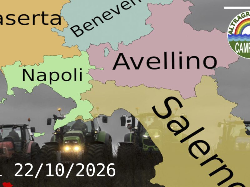 Nuove Cronache